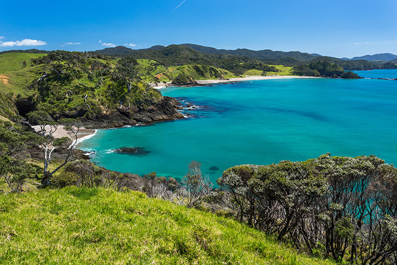 A small group 2-day tour and cruise through the Bay of Islands, showcasing beautiful landscapes, islands, and historical landmarks.